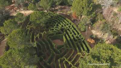 ¡Voy a Pasármelo Bien! 31.08.2025