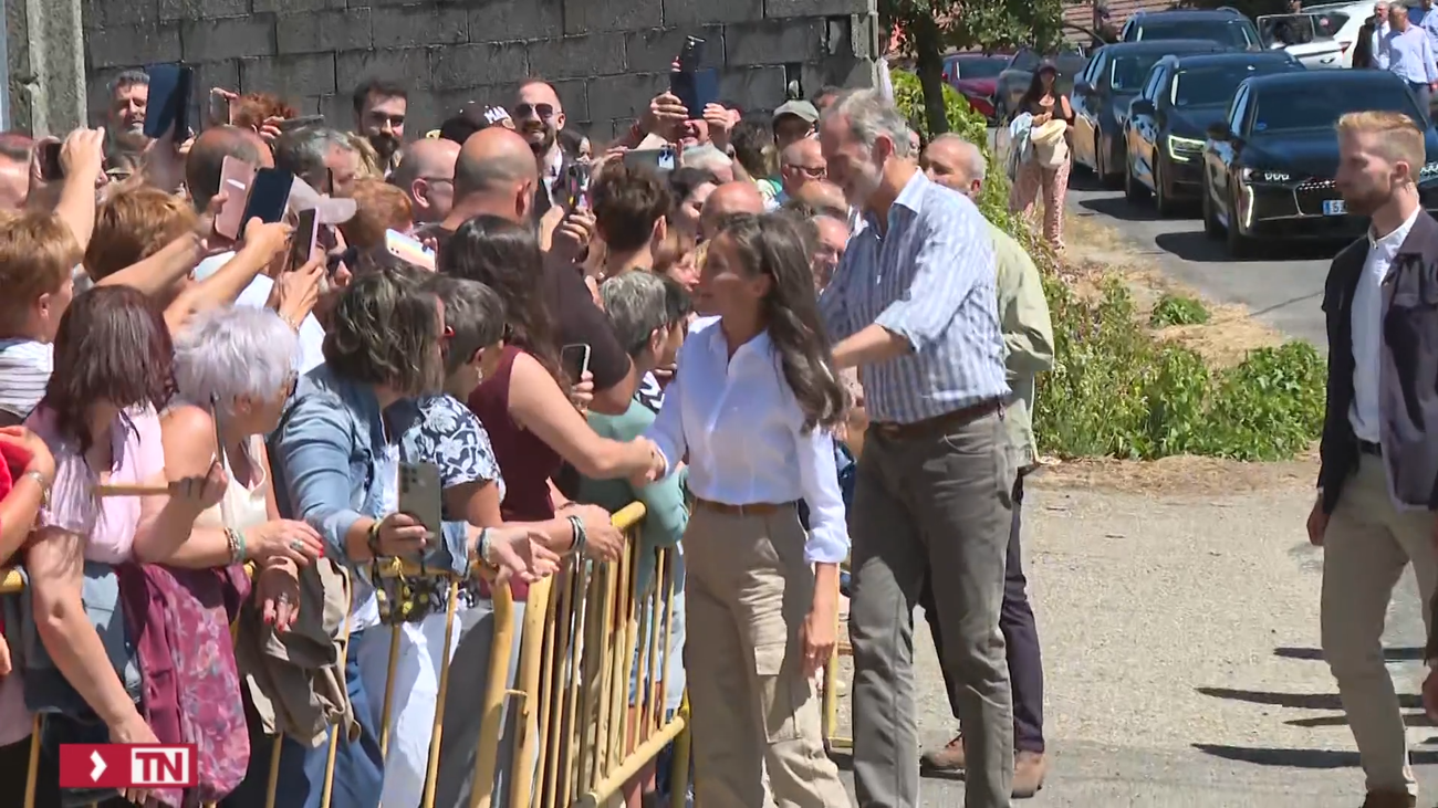 Felipe VI  insta a sacar enseñanzas de los incendios para "ser más fuertes en el futuro"