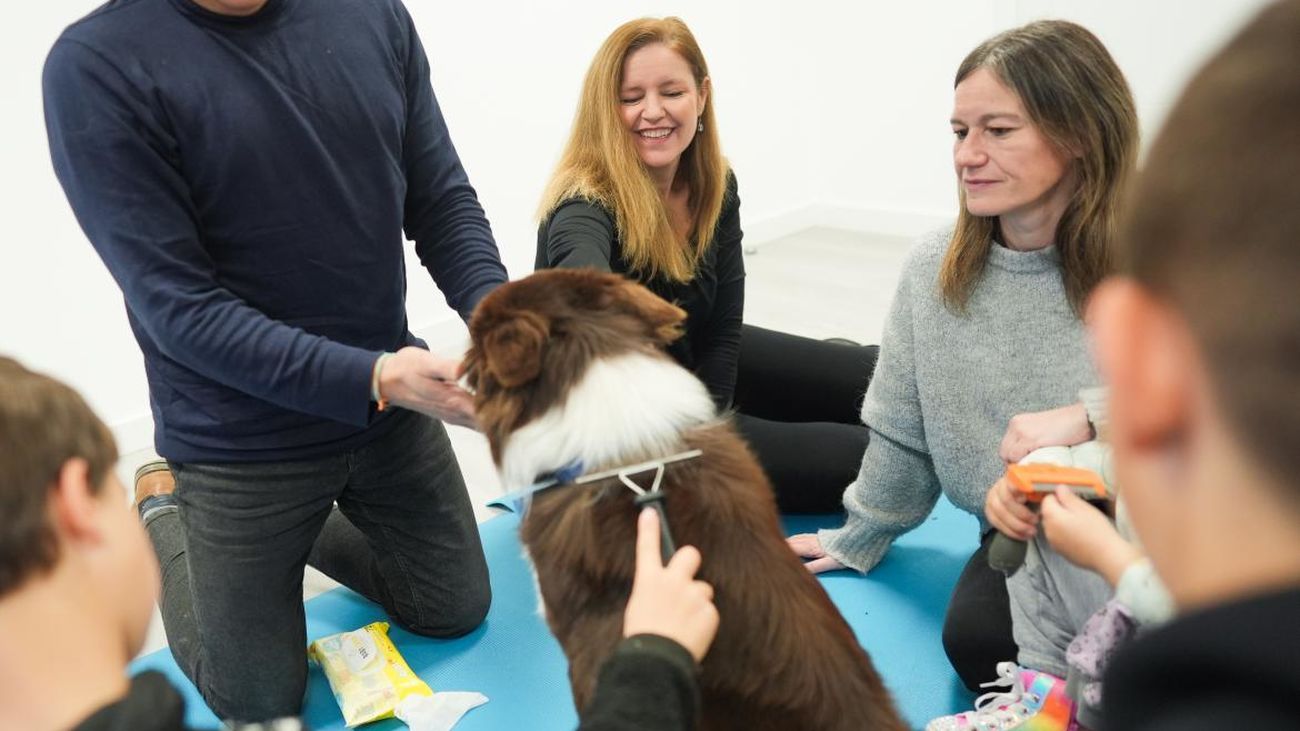 Un grupo de personas hace terapia con un perro
