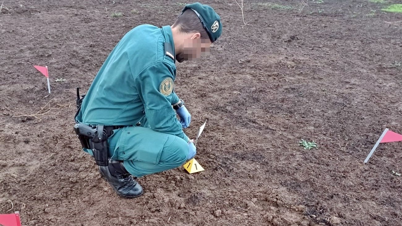 Detenido por provocar intencionadamente varios incendios en la Sierra de Gredos (Ávila)