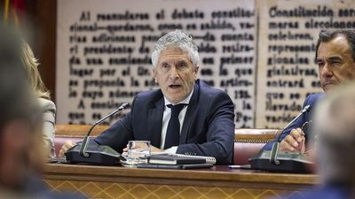 Marlaska explica en el Senado su gestión en los incendios y reitera la competencia de las CCAA