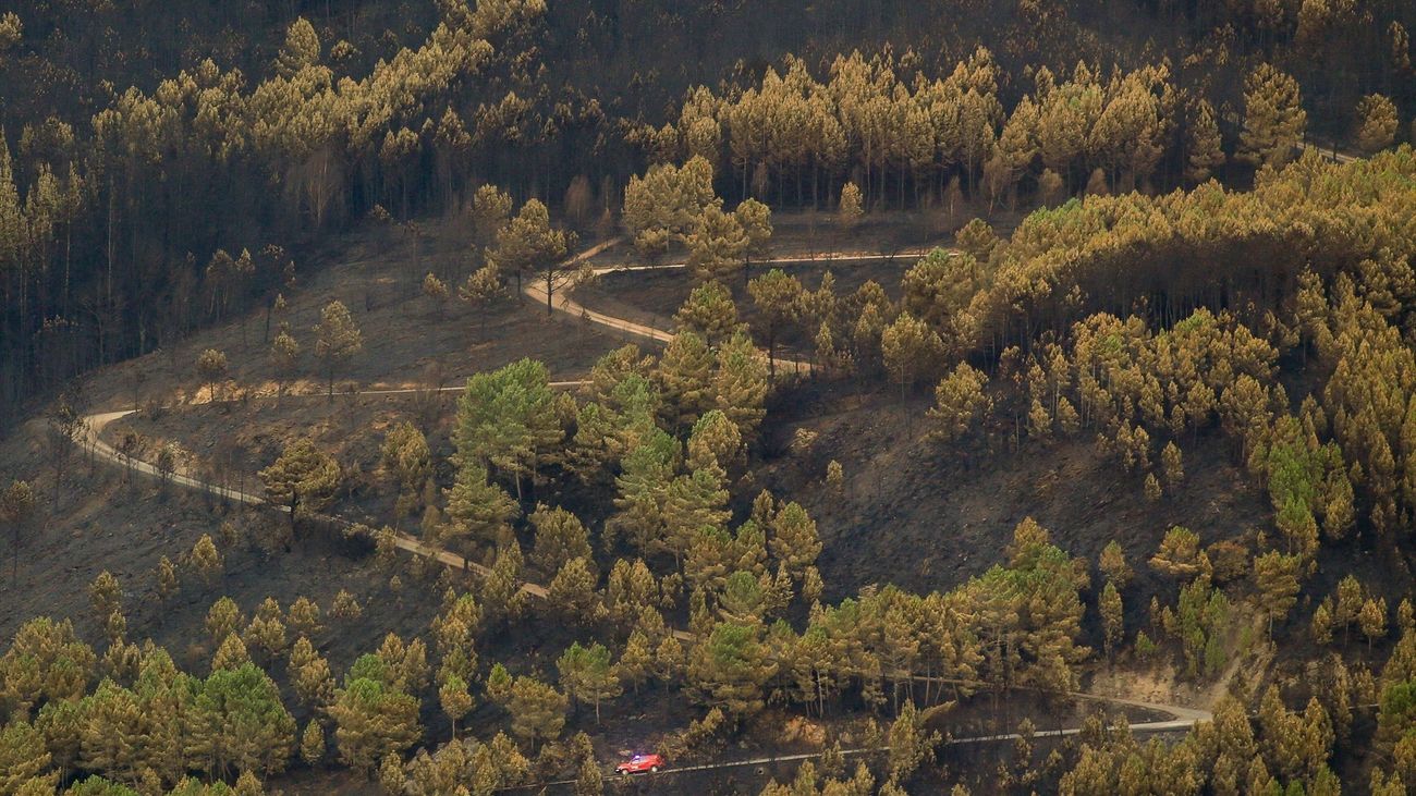 Evolución favorable de los 11 incendios activos en España, pero preocupa la llegada de lluvias torrenciales