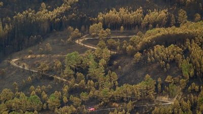 Evolución favorable de los 11 incendios activos en España, pero preocupa la llegada de lluvias torrenciales