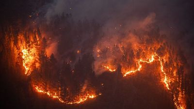 Más del 30% del suelo quemado este verano en España está en Galicia