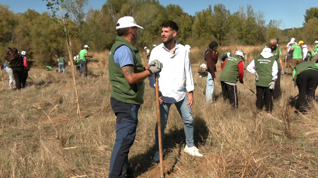 La importancia medioambiental de replantar terrenos