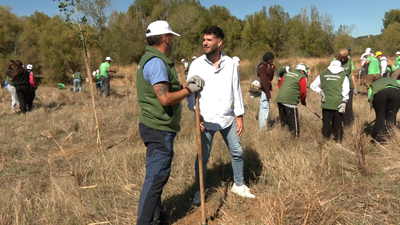 La importancia medioambiental de replantar terrenos