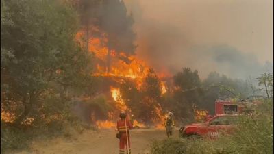 El Colegio de Registradores habilita un formulario web para facilitar notas simples a afectados por los incendios