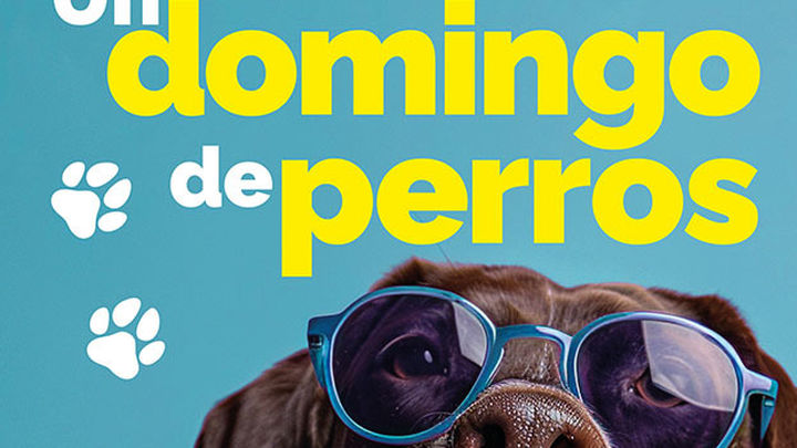 Cartel concurso 'Un domingo de perros en Torrelodones' / Ayuntamiento de Torrelodones