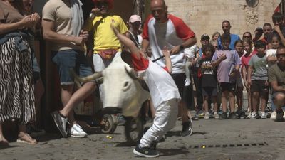 Torrelaguna vibra con sus fiestas: tradición taurina, música y ambiente para todos los públicos