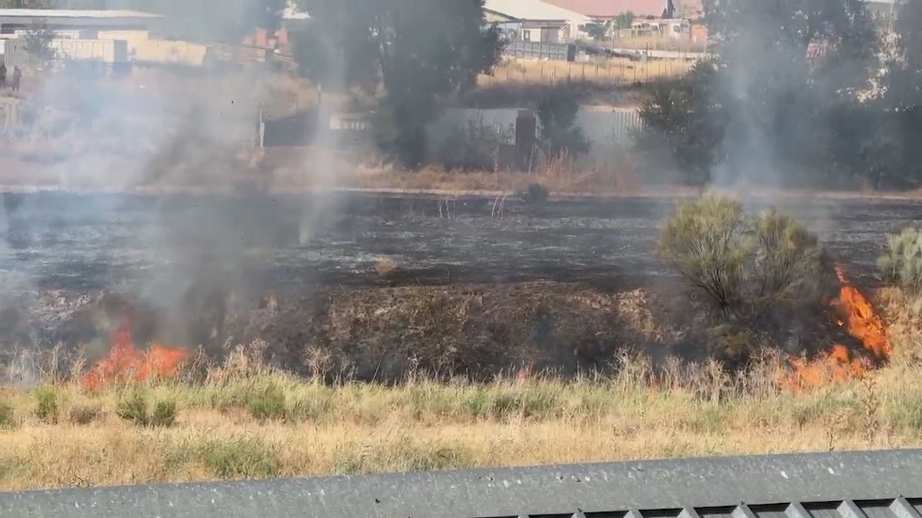 Extinguido un incendio de pastos, sin heridos, en la Cañada Real