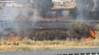Extinguido un incendio de pastos, sin heridos, en la Cañada Real
