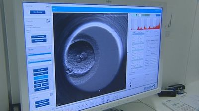 Nace el bebé más viejo del mundo gracias a un embrión congelado durante 31 años