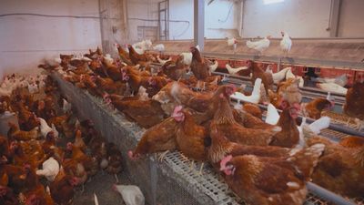 Aquí se hace 08.09.2025