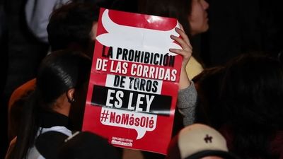 El Tribunal Constitucional de Colombia ratifica la ley que prohíbe las corridas de toros, las novilladas y las peleas de gallos
