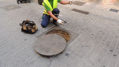 Brunete intensifica la lucha contra las ratas