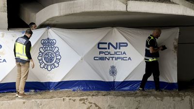 El mayor número de condenas judiciales en España durante 2024 estuvo relacionada con la seguridad vial