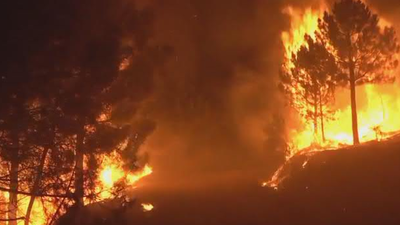 Aagesen cifra en 336.345 las hectáreas quemadas en agosto por los incendios forestales