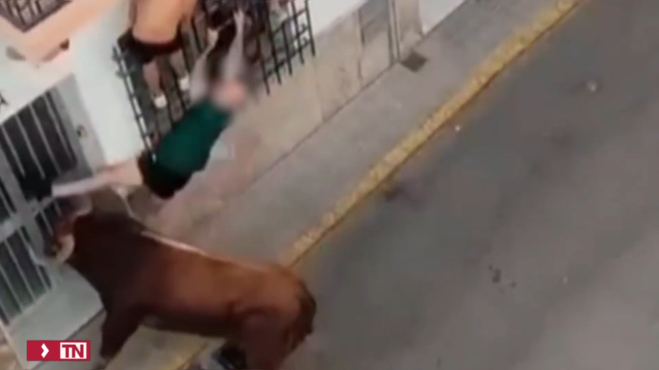 Muere  tras ser corneado varias veces por un toro en las fiestas de Ubrique (Cádiz)