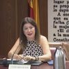 Leire Díez insiste en el Senado que su trabajo fue como periodista de investigación al margen del PSOE