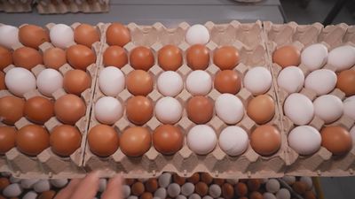 El precio de los huevos subió un 22,5% en octubre, acusando la crisis de la gripe aviar