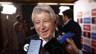Cerezo: "El vuelo se empezará a remontar a partir del sábado"