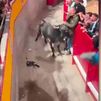 VÍDEO: Un toro siembra el pánico y hiere a varias personas en el segundo encierro nocturno de Navalcarnero