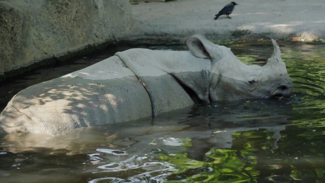 Así es el zoológico más antiguo del mundo