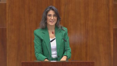 Bergerot (Más Madrid) propone la instalación de 125.000 aires acondicionados y más medidas para combatir el cambio climático