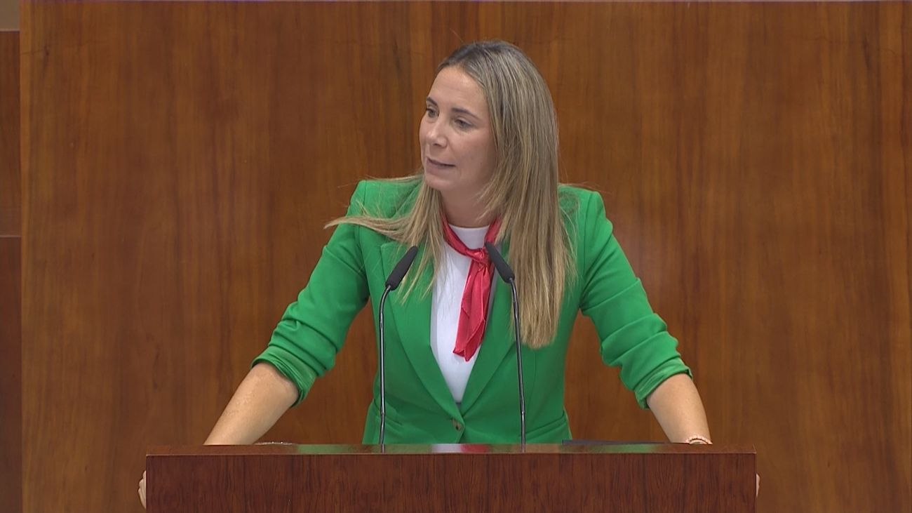 Mar Espinar, portavoz del PSOE-M en la Asamblea de Madrid