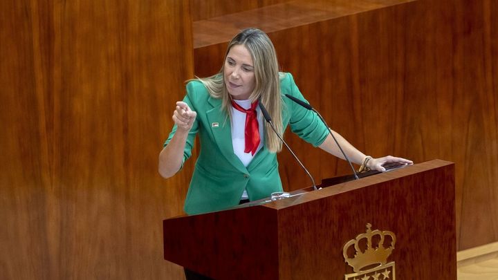 La portavoz del PSOE en la Asamblea, Mar Espinar / EUROPA PRESS