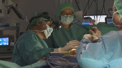 Madrid realiza operaciones de corazón pioneras sin tener que abrir el esternón