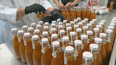 Docamar, el templo de las bravas, embotella su salsa para conquistar las cocinas de España