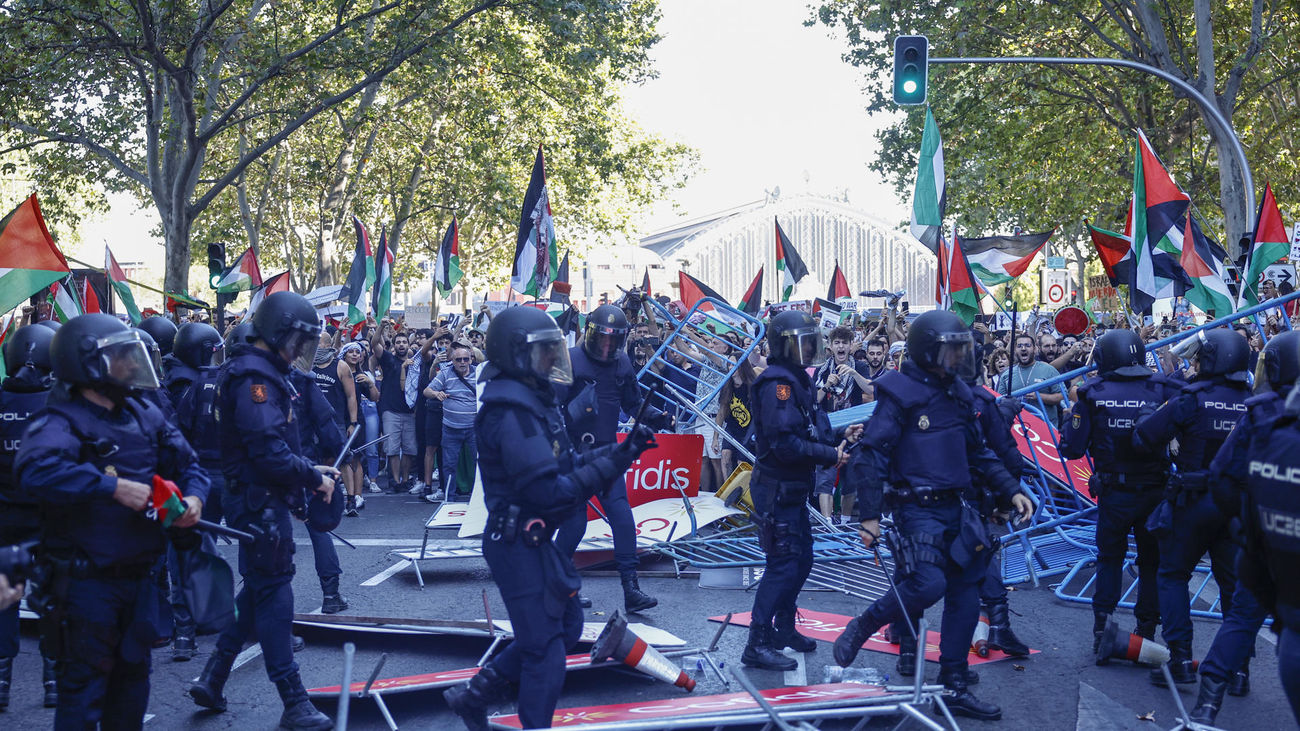 El delegado del Gobierno dice que  solo "hubo incidentes muy puntuales" durante las protestas propalestinas
