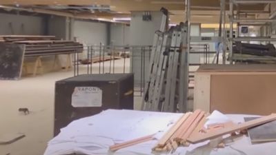 El Camp Nou no se libra de las ratas