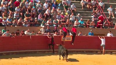 Móstoles se despide de sus fiestas patronales con conciertos y un doble encierro