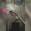 VÍDEO: Rescatan a un perro encerrado en un aljibe a ocho metros de profundidad con una reja atornillada al suelo