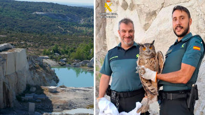 Dos agentes de la Guardia Civil rescatan un búho real herido en la cornisa de una cantera en Valdemanco
