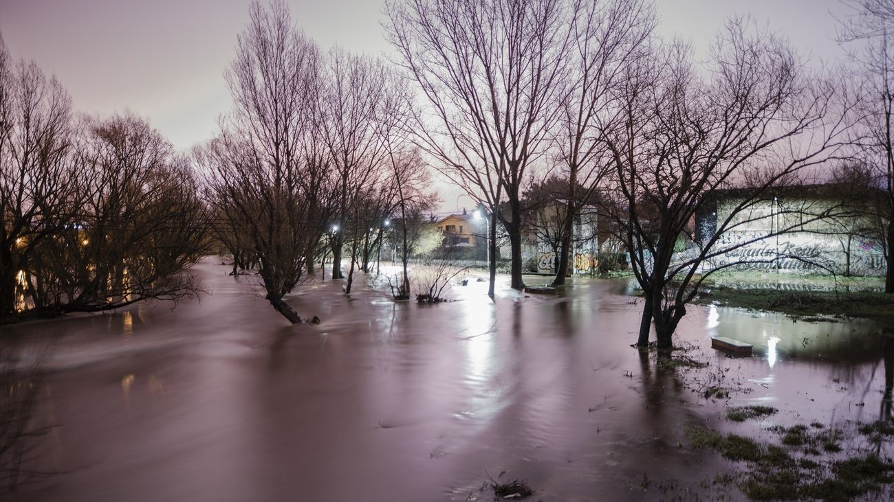 Una zona afectada por el paso del río Guadarrama, a 8 de marzo de 2025, en Galapagar