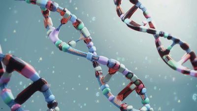 Insensibilidad congénita al dolor: un riesgo invisible