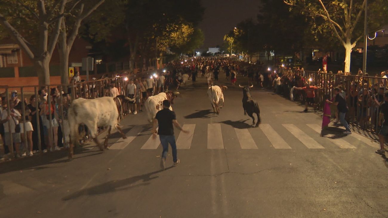 Noches de fiesta y toros en Parla