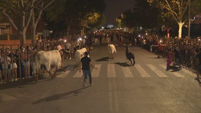 Noches de fiesta y toros en Parla