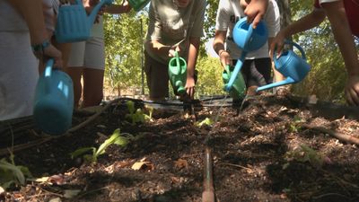 Vuelta al cole y... ¡Al huerto!
