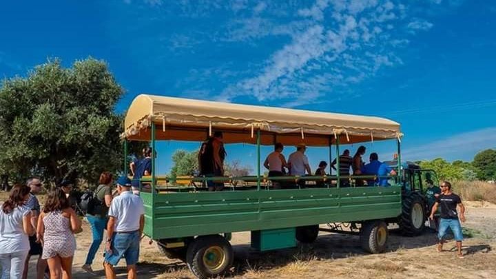 Paseo en carriola por los viñedos de la Vinícola de Arganda / MADRID ENOTURISMO