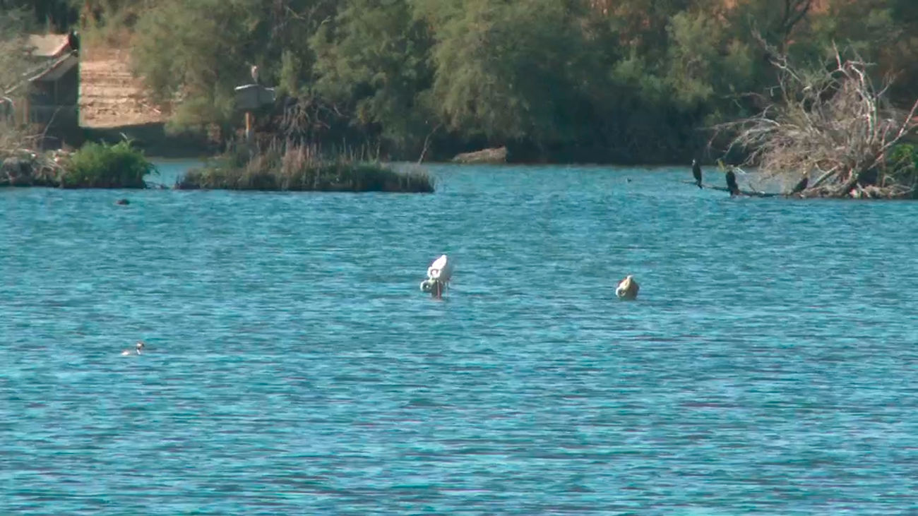 Termina la restauración de la Laguna de Soto de las Cuevas en Aranjuez