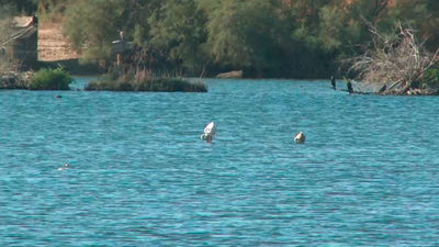 Termina la restauración de la Laguna de Soto de las Cuevas en Aranjuez