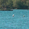 Termina la restauración de la Laguna de Soto de las Cuevas en Aranjuez