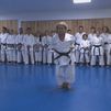 Hortensia, madrileña de 73 años y campeona nacional de karate