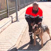 Yago, el perro que combate a los grafiteros en el metro de Madrid