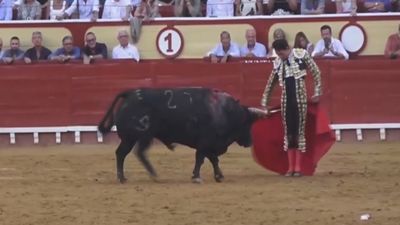 PSOE, Sumar y ERC apoyan debatir en el Congreso que los toros no sean patrimonio cultural