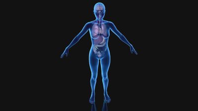 La doctora Pilar Riobó alerta sobre los riesgos de los trastornos de la conducta alimentaria